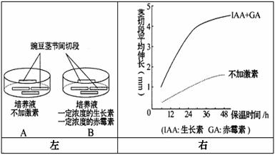 什么的人口前面怎么填_小腿前面凹陷怎么回事(3)