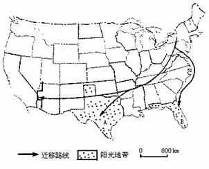 读"美国本土老年人口向南方"阳光地带"迁移示意图(1955-1960年)",按