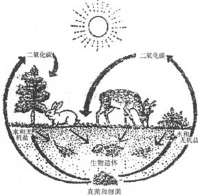 image002.jpg