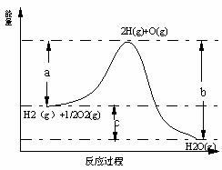 停止使用抗生素体温升高属于什么原理