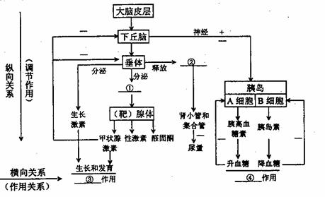 则b球已下落 --