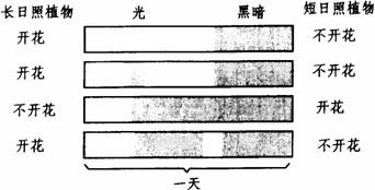 什么是静息电位 简述其产生原理_幸福是什么图片