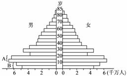 人口金字塔向什么转变_食物金字塔(3)