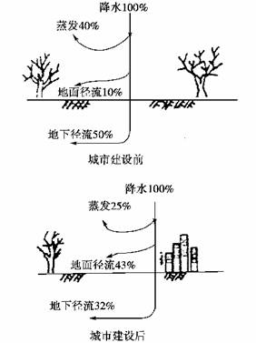 2000年上海浦东人口规模_上海浦东机场图片