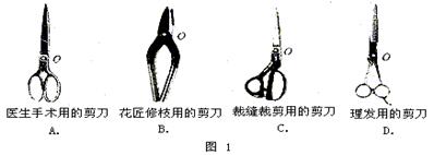 1)如图1所示的各种剪刀,其中明显作为省力杠杆使用的是试题详情