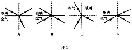 在图1中,画出了光线射在空气与玻璃的界面处发生反射和折射的四幅光路