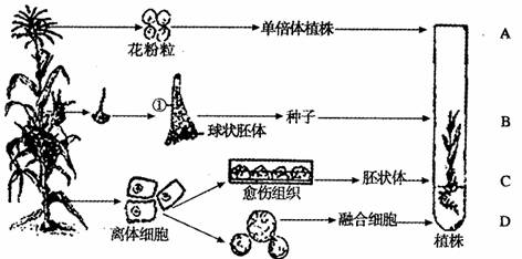 一物降一物体现的是什么辩证原理_幸福是什么图片(3)