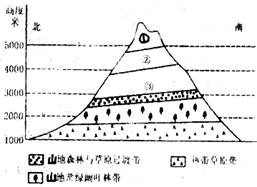 人口属于政治