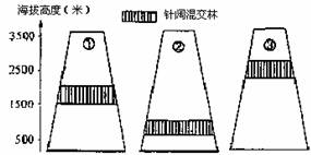 印度人口主要分布特点_印度人口分布(2)