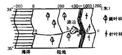 20世纪以来是世界人口增长的什么时期_18世纪以前.人口增长的十分 .18世纪以后