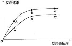 无机催化剂的原理是什么_无机化学催化剂