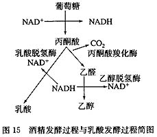 泰林生物涨158%成交额478238万元今日主力净流入-16402万