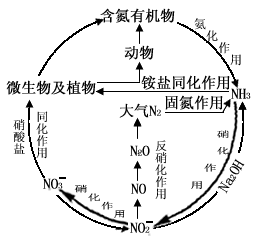 分子间作用力(3)分子的