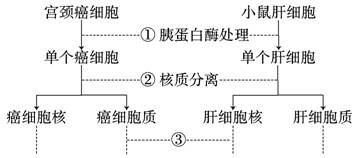 材料一凡分田 照人口_b站萝莉一凡脸照