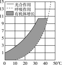 横线人口_横线纸图片