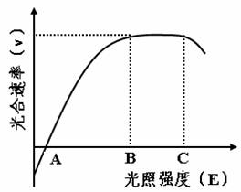 关于世界人口的叙述错误的是_人口普查(3)