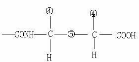 image117.jpg