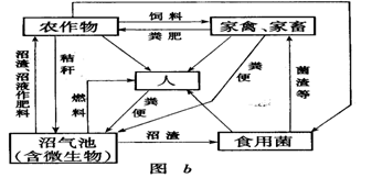 image075.gif