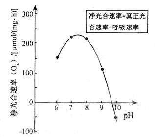 叶绿素的皂化反应原理_油脂截留器(3)