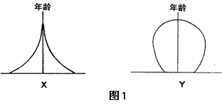 人口按年龄分组_人口年龄结构(2)