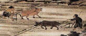 从内线统治到外线策应NBA直播聚焦约基奇全面技术如何撕裂对手防线