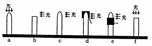 下列组图是研究植物向性运动与生长素之间的关系.