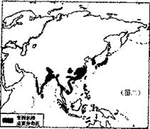 世界人口大灾难_凹凸世界金(2)