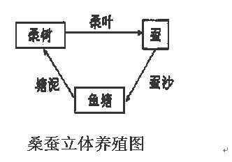 成语三什么整装_成语故事图片(2)