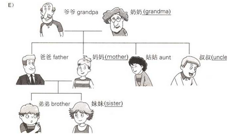 e下面是mike的familytree请将人物关系填写完整并选择填空