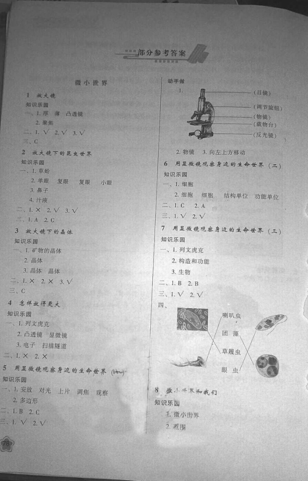 学习与评价六年级科学下册教科版 第1页 参考答案 分享练习册得积分