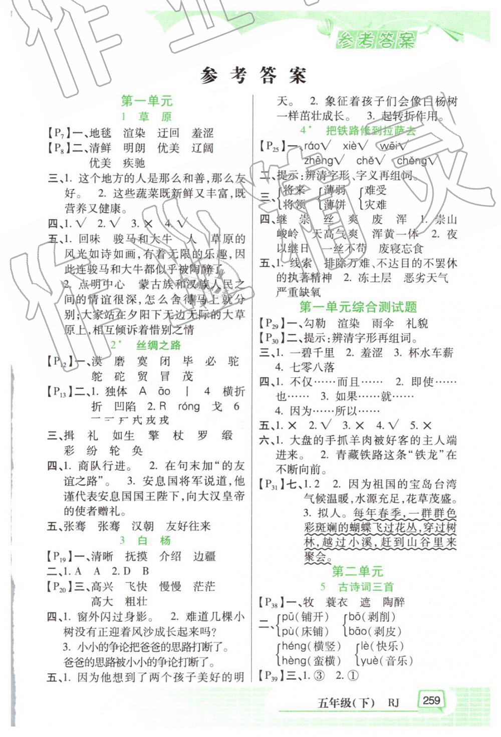 2019年字词句篇五年级下册人教版开明出版社