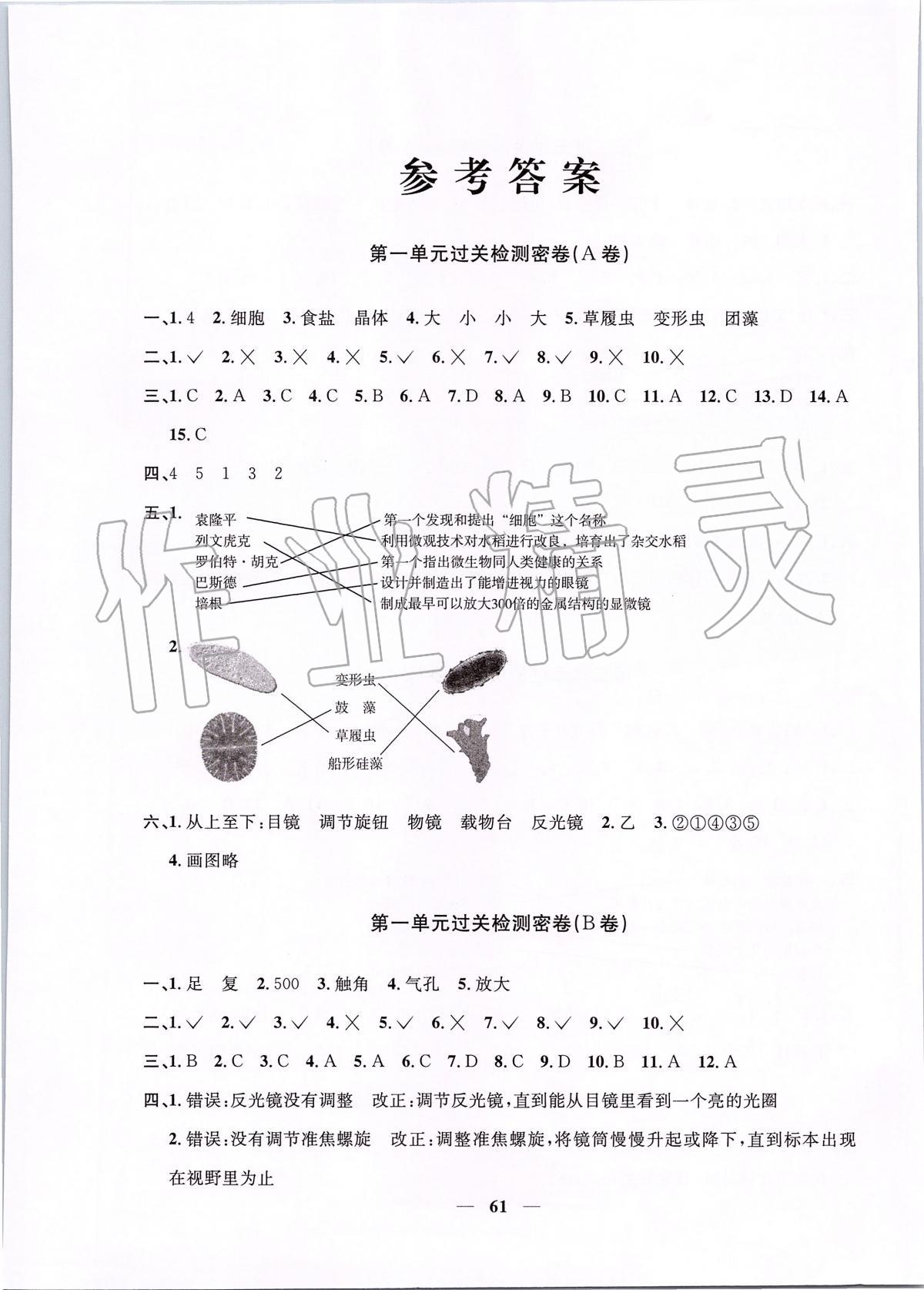 2020年阳光同学一线名师全优好卷六年级科学下册教科版答案—青夏