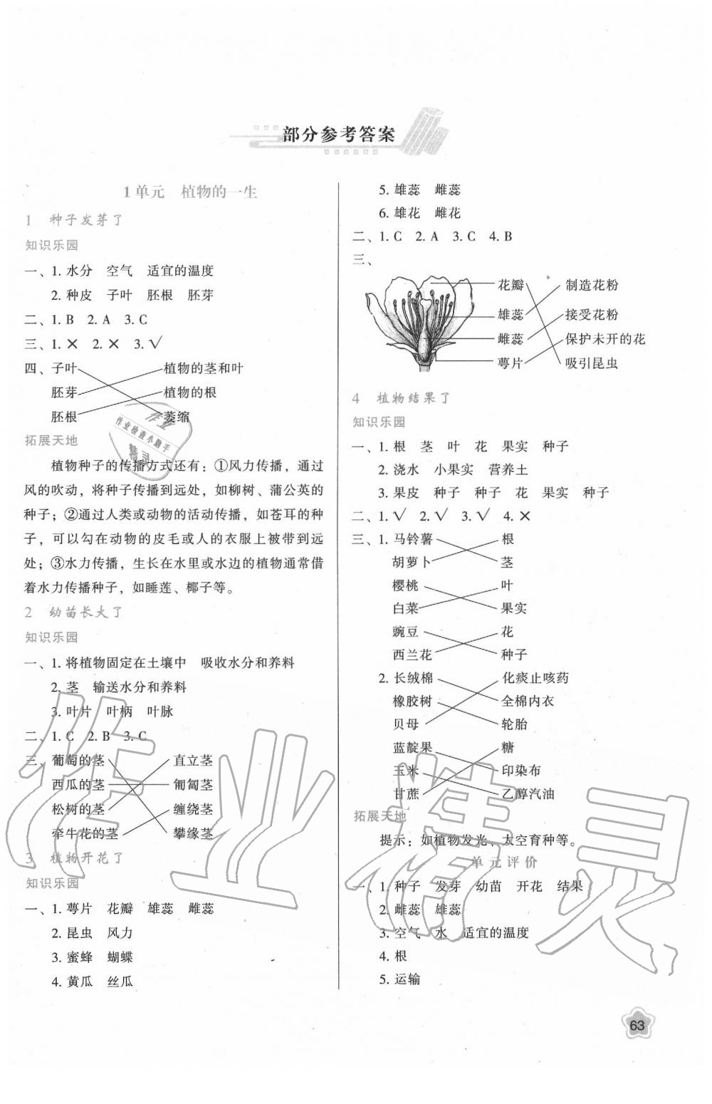 与评价三年级下册科学苏教版b版 第1页 参考答案 分享练习册得积分