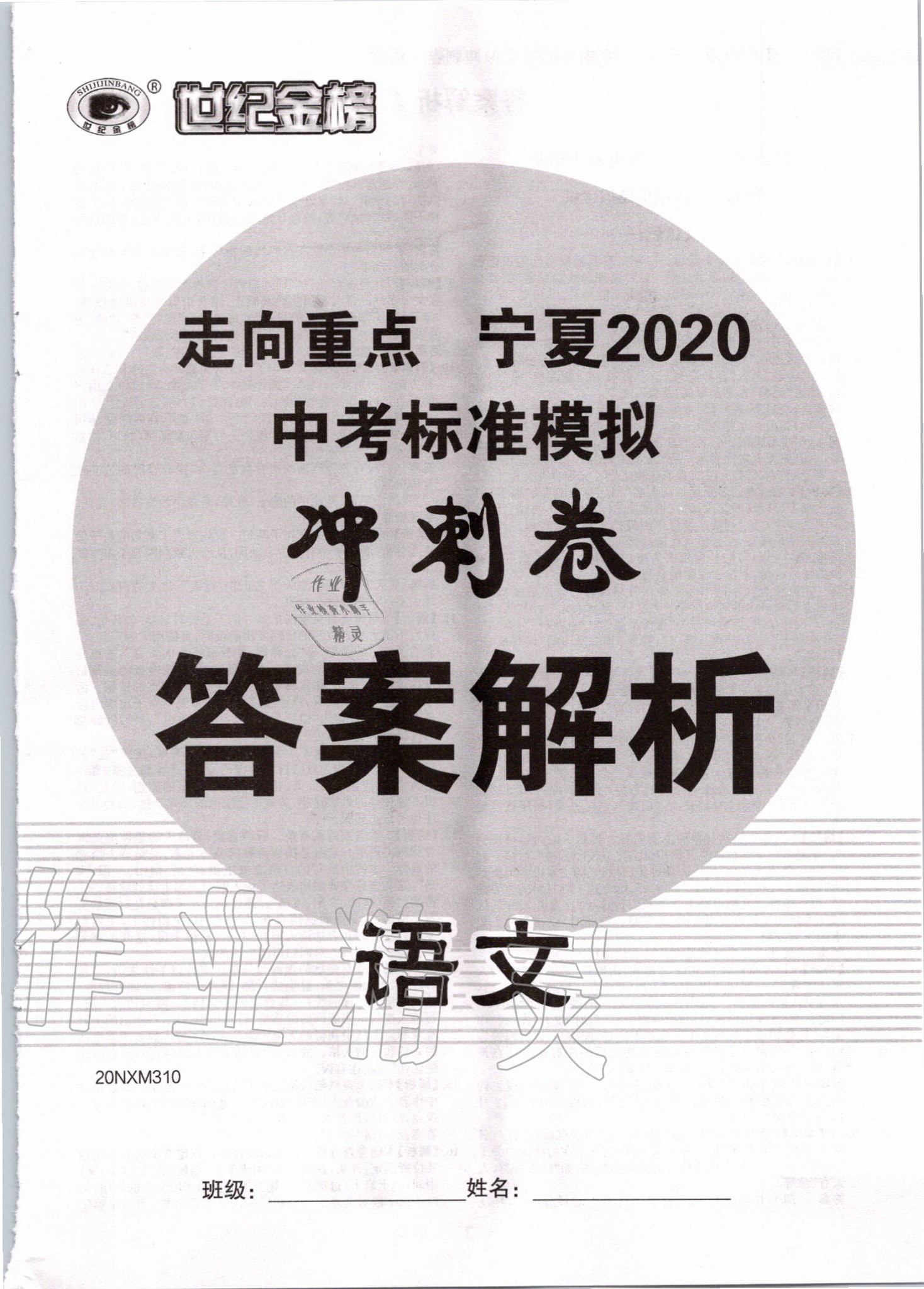2020年走向重点宁夏中考标准模拟冲刺卷语文答案