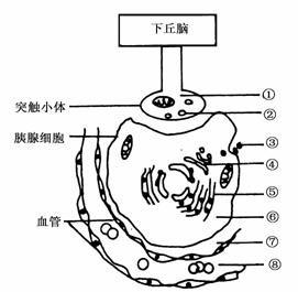 以下与根瘤菌结构相同在生态系统中地位一致的是 ( ) a青霉菌 b