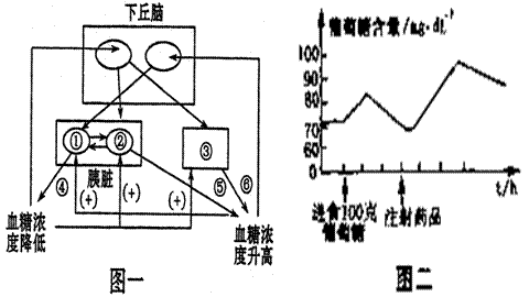 下图是反射弧结构模式图.a.b分别是放置在传出神经和骨骼肌上的电极.