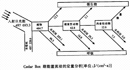 39(8分)下图是某湖泊生态系统能量流动的定量分析图解.