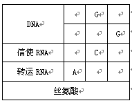 右表中決定絲氨酸的遺傳密碼是