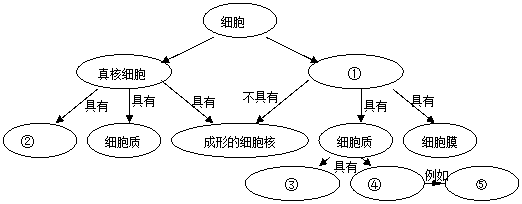 糖类又称碳水化合物.下列物质属于多糖的是 a.淀粉 b. 葡萄糖 c.