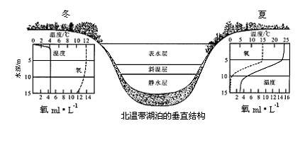 垂直结构:植物群落的垂直结构表现为垂直方向上的分层性