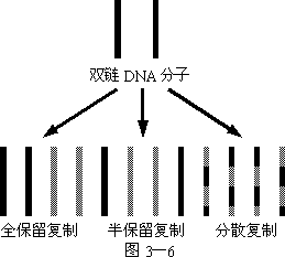 对细胞中某些物质的组成进行分析