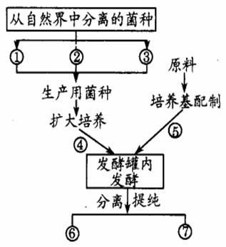 谷氨酸钠制作工艺流程图片