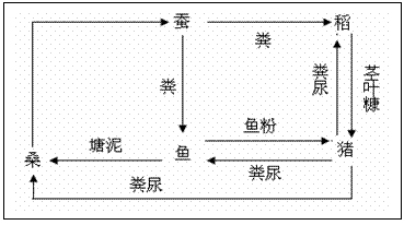 46,我国南方某些地区建立了"桑基鱼塘"农业生态系统,获得了鱼,猪,蚕和