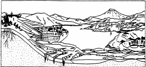 3长江源区环境恶化的现象有河流干涸草场沙化河流干涸归根到底是全球