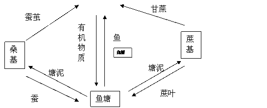 炭疽杆菌结构图图片