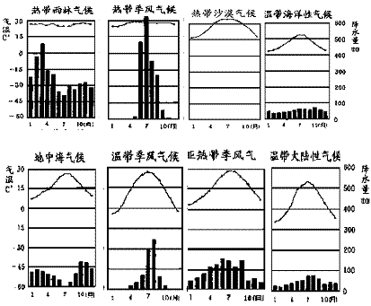 世界主要氣候類型 (1)熱帶 氣候名稱 熱帶雨林氣候 熱帶草原氣候 熱帶