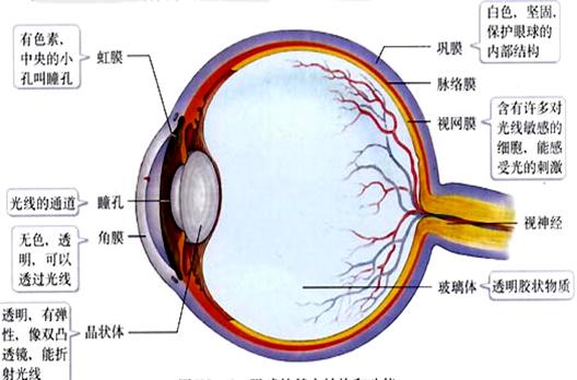 排放到了大气中,而且绿色植物还通过光合作用不断消