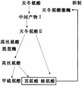 某同學在做微生物實驗時.不小心把硝化細菌和金黃色葡萄球菌混在一起.