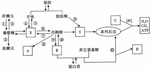 5下圖代表人體體液免疫的過程相關敘述正確的是