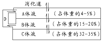 例8下面是体液各组成部分关系图解,请据图回答